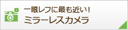 一眼レフに最も近い！ミラーレスカメラ